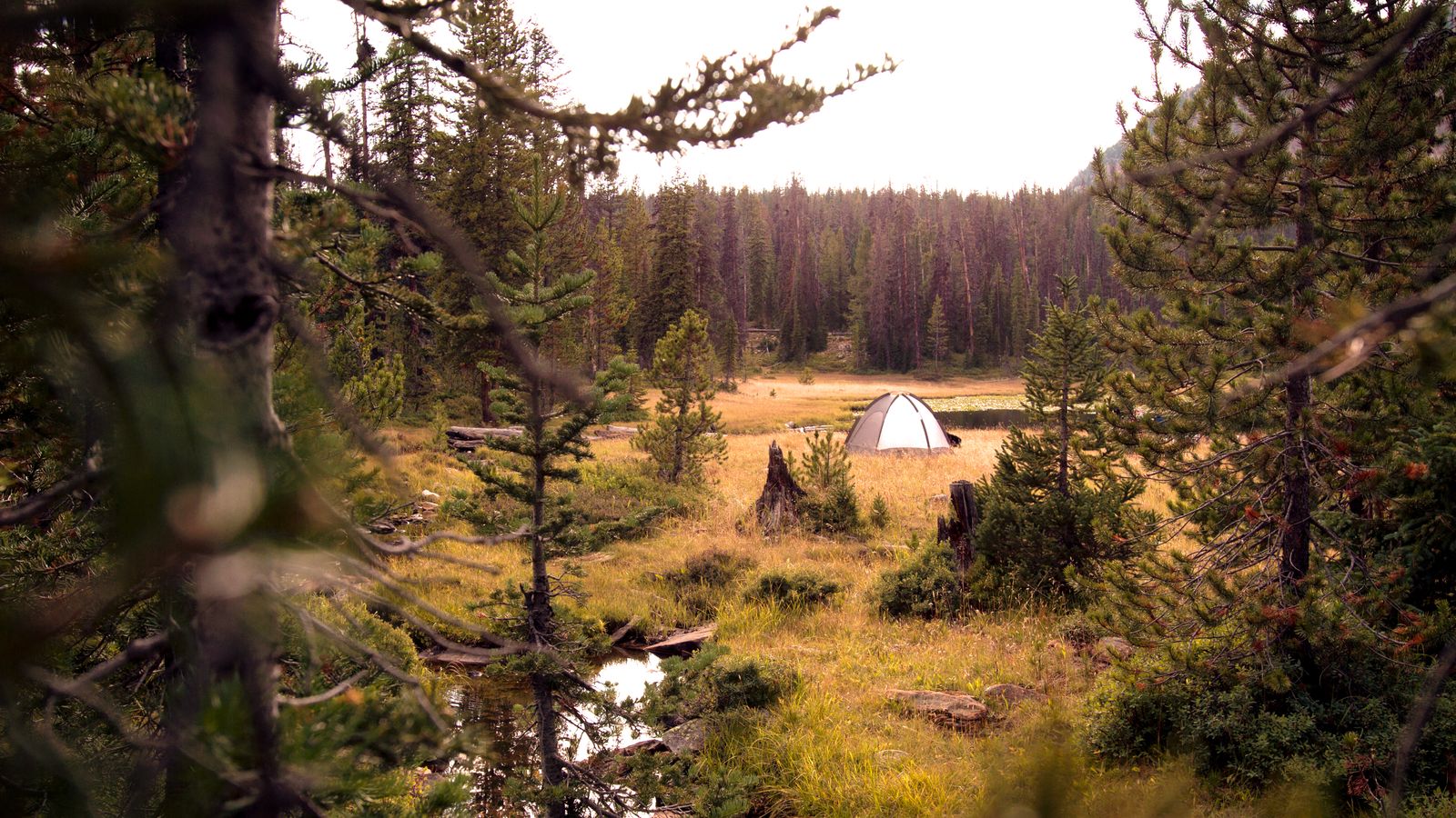 The Best Backpacking Tent for Every Type of Adventurer