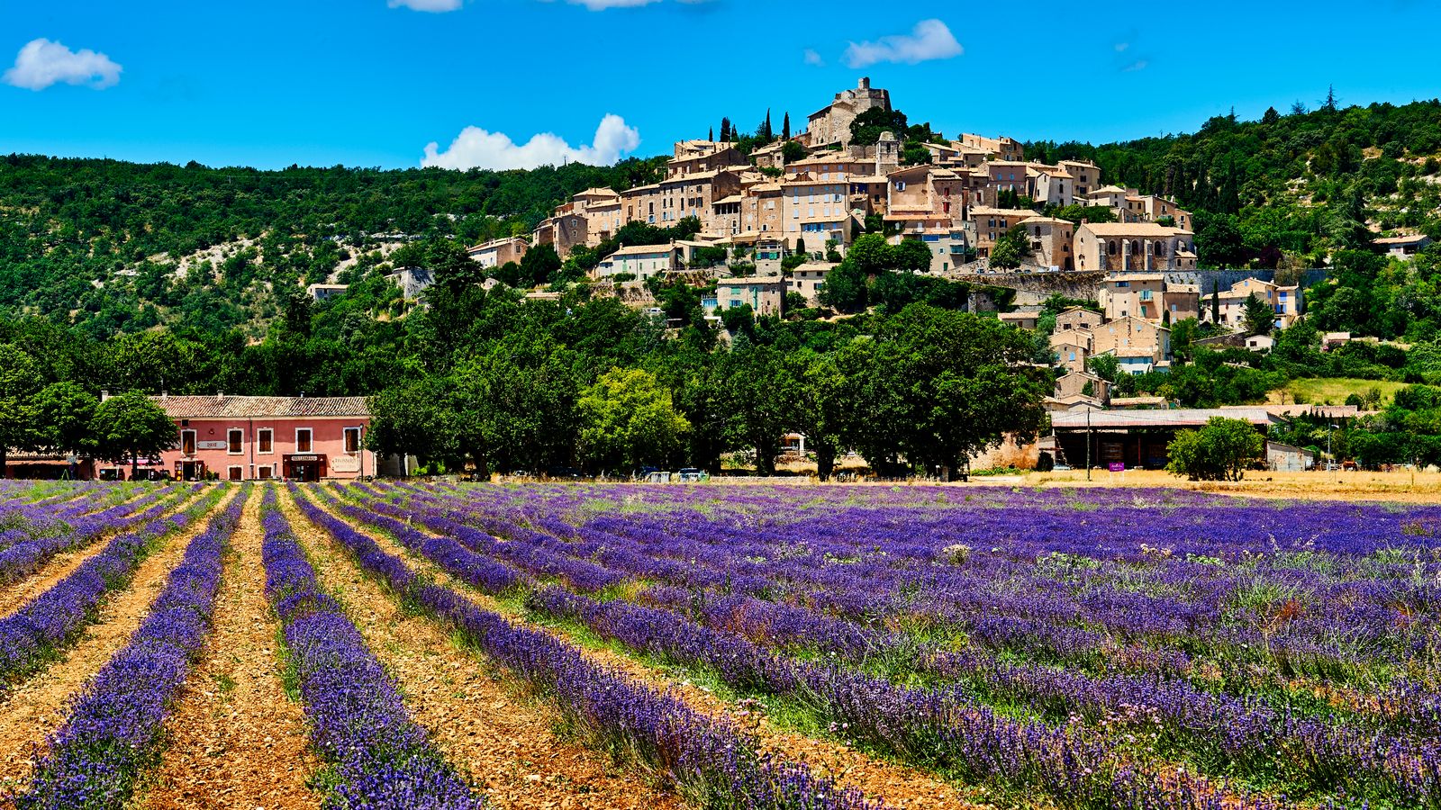 I Base My Travels Around Perfume&-Here Are 7 Cities to Visit for an Olfactory Immersion