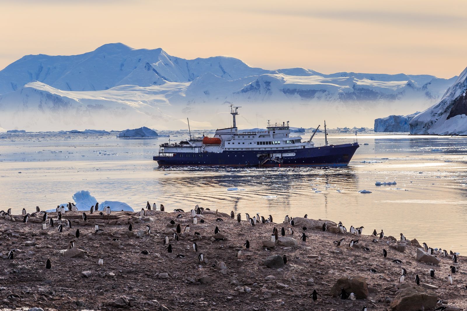 The Best Wildlife Cruises Around the World