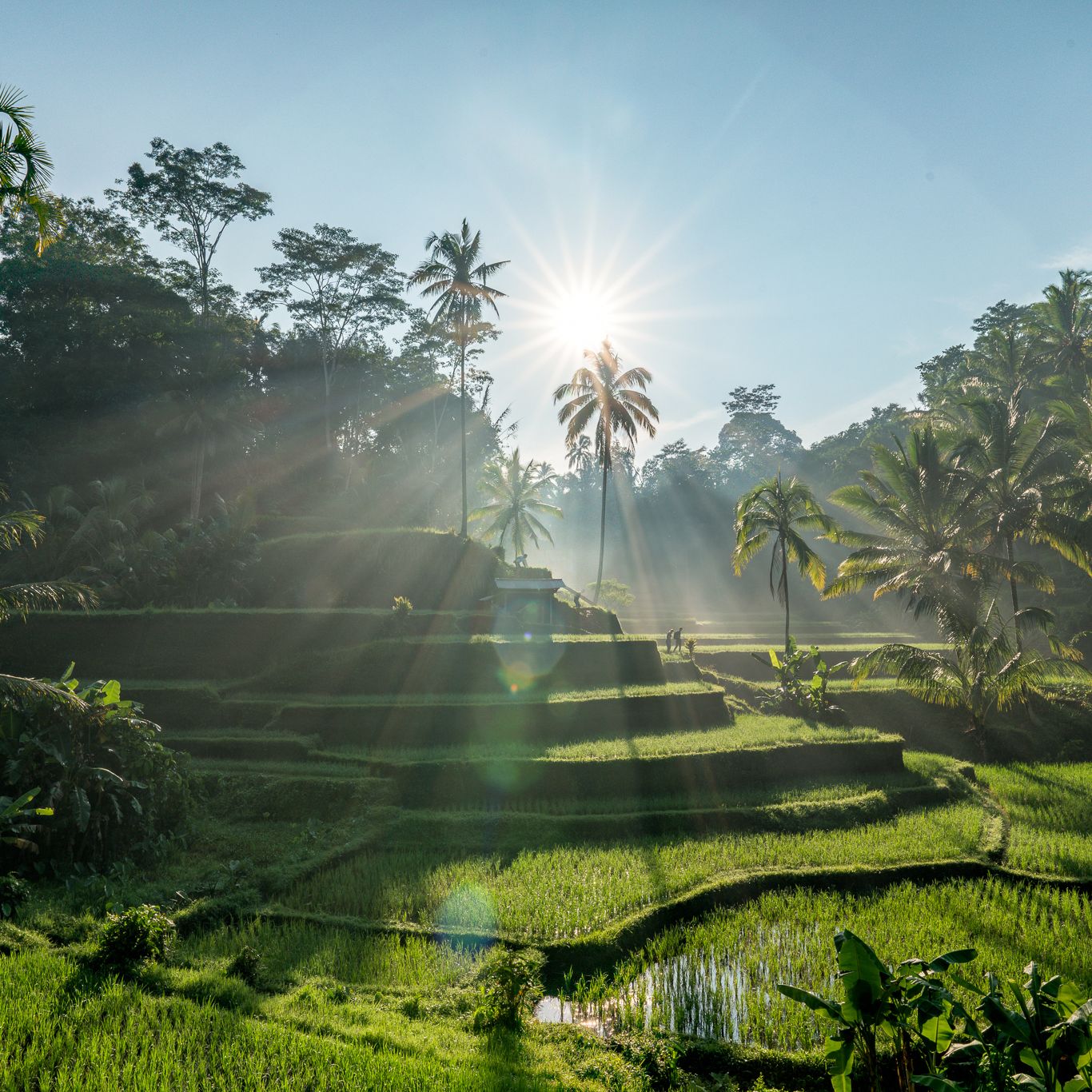 Bali