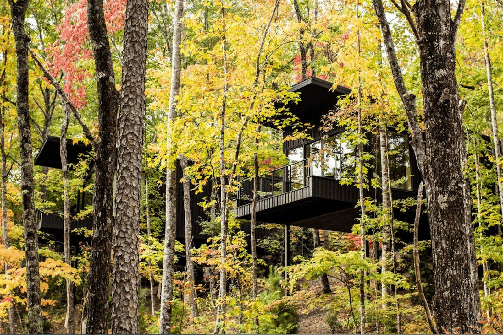 Inside Blackberry Mountain’s Art-Centered Approach to Wellness